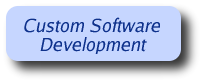 Custom Software Development